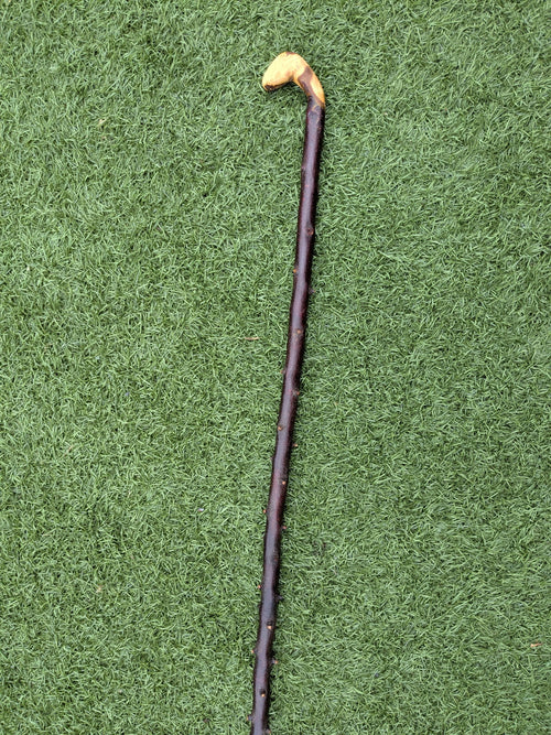 Blackthorn Crook handle walking stick