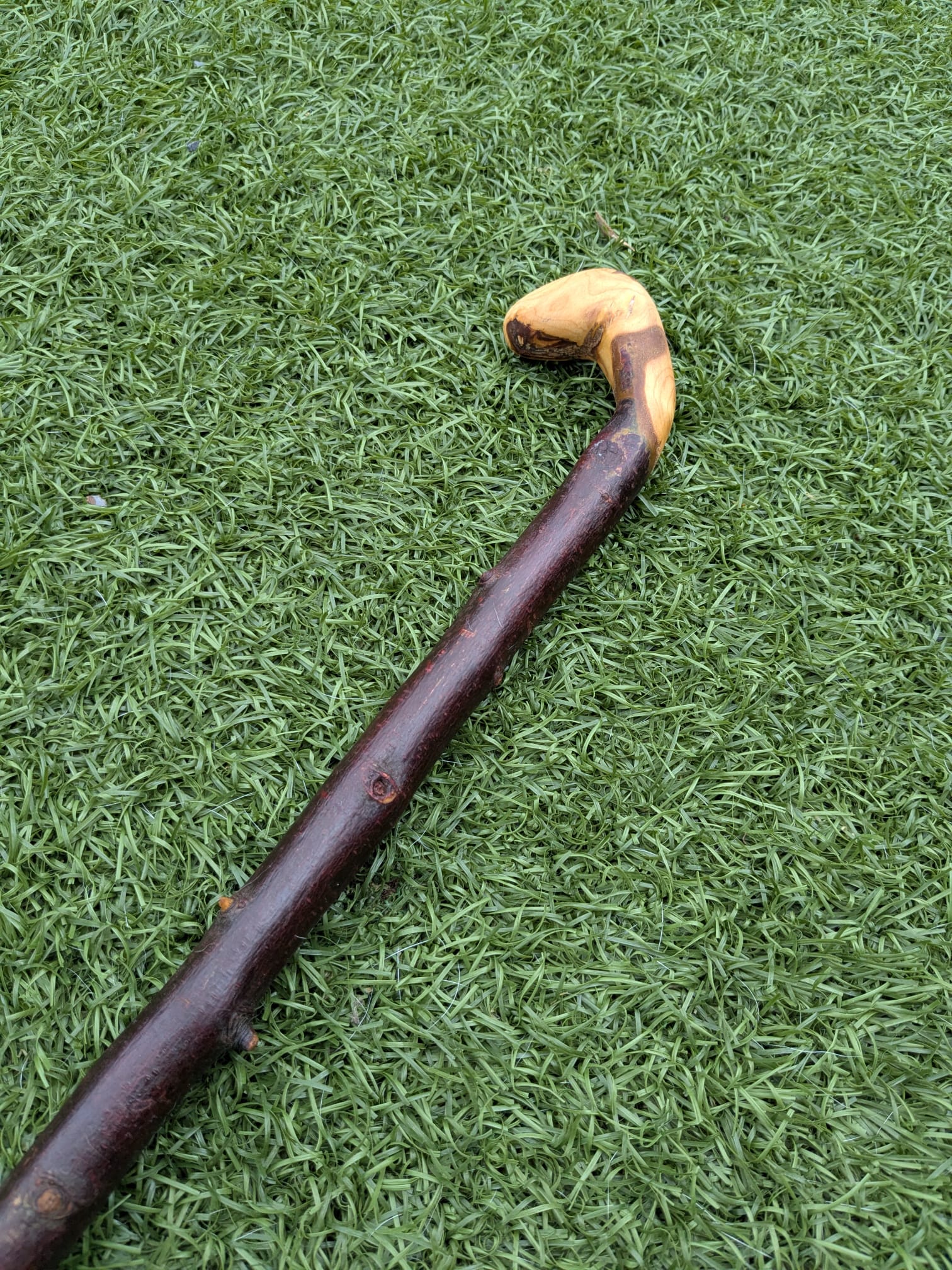 Blackthorn Crook handle walking stick