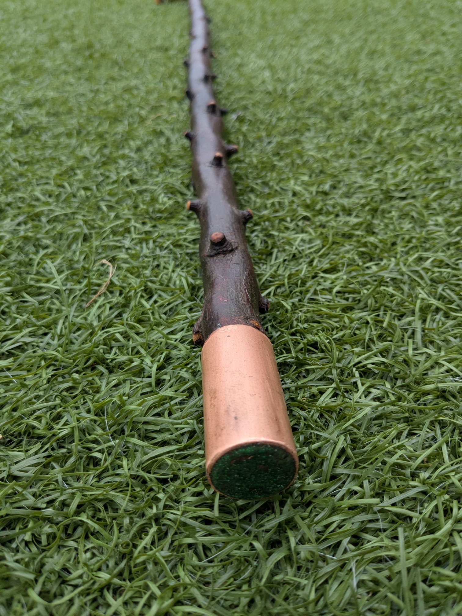 Blackthorn Crook handle walking stick