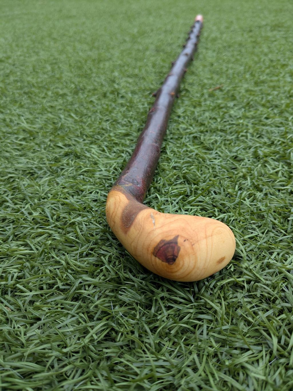 Blackthorn Crook handle walking stick