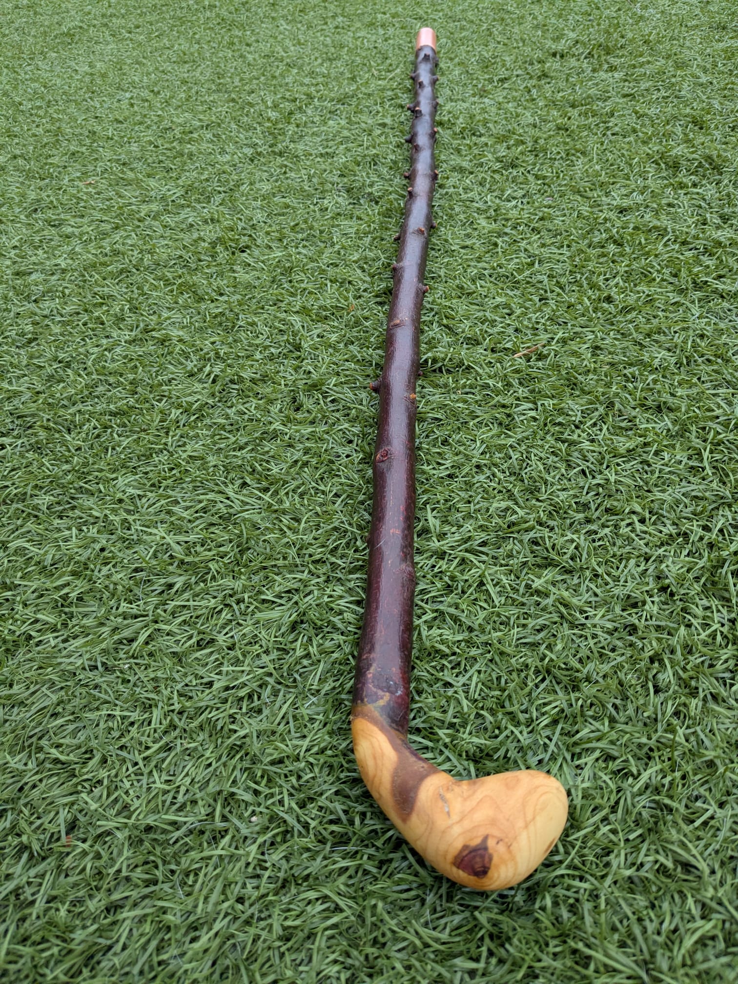 Blackthorn Crook handle walking stick