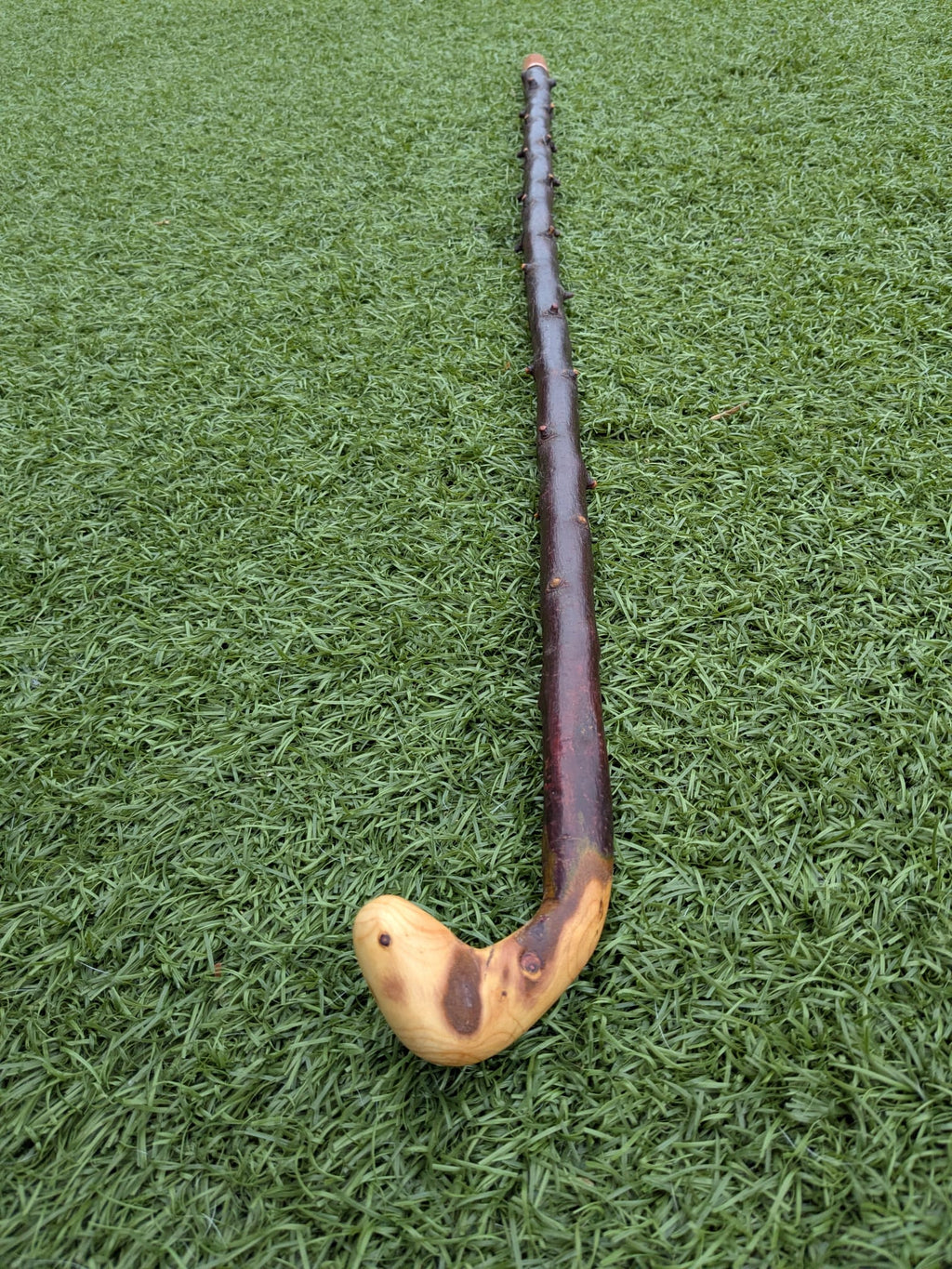 Blackthorn Crook handle walking stick