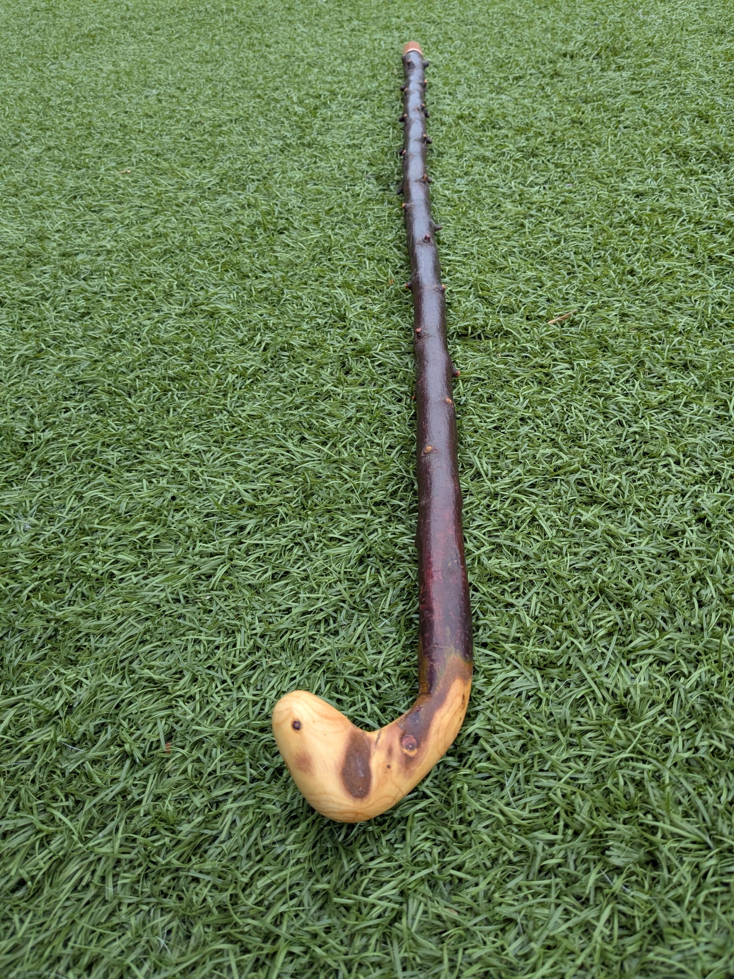 Blackthorn Crook handle walking stick