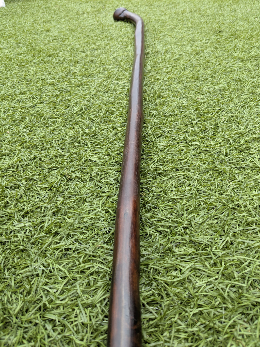 Stylish Holly Shillelagh walking Stick