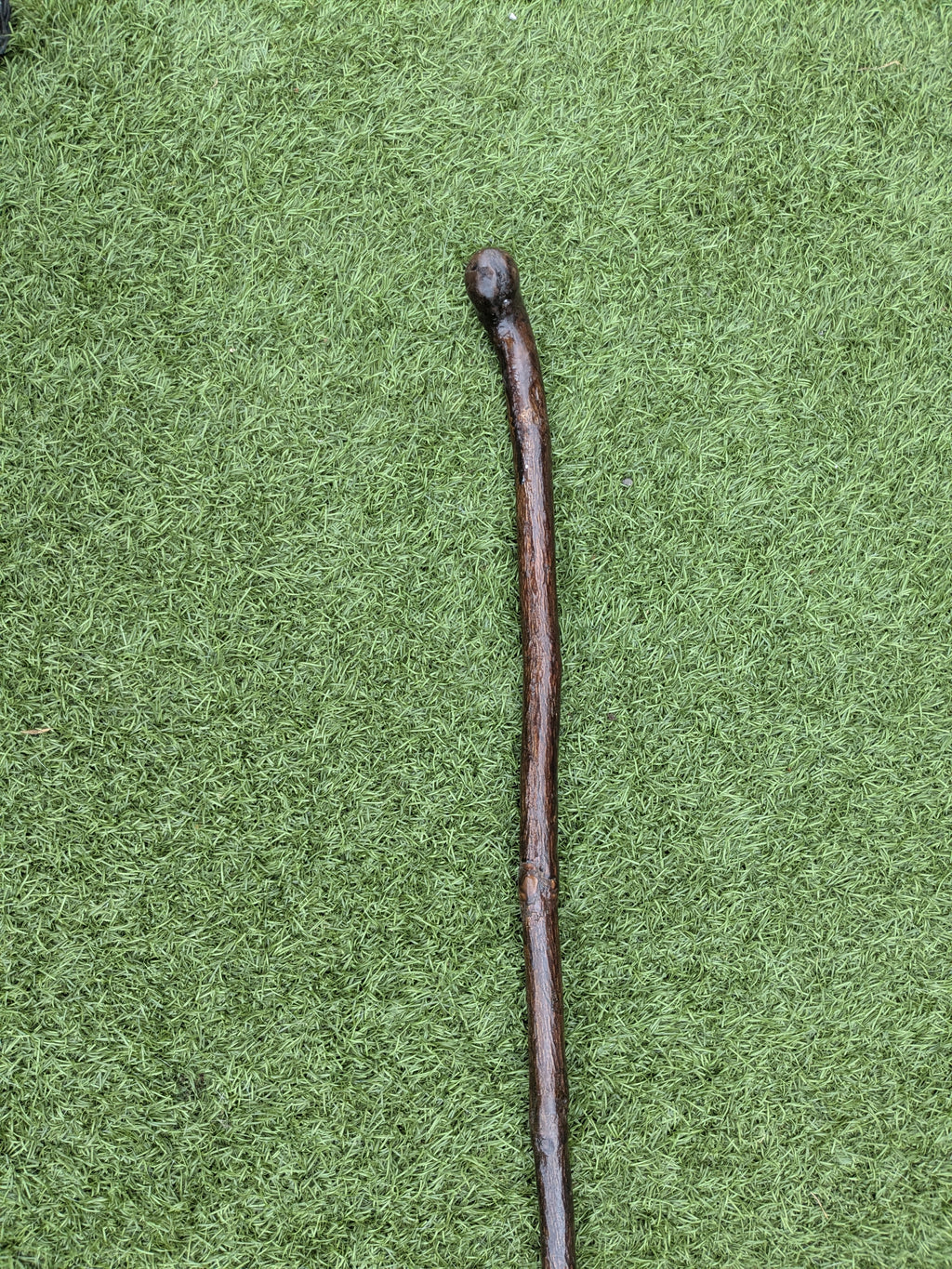 Rustic Holly Shillelagh Walking stick