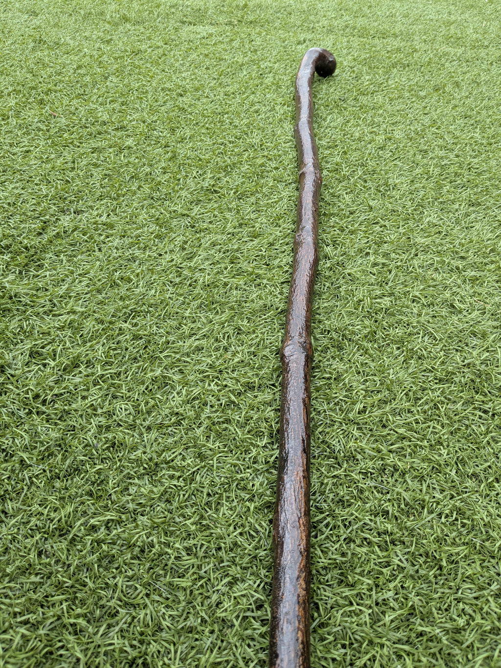 Rustic Holly Shillelagh Walking stick