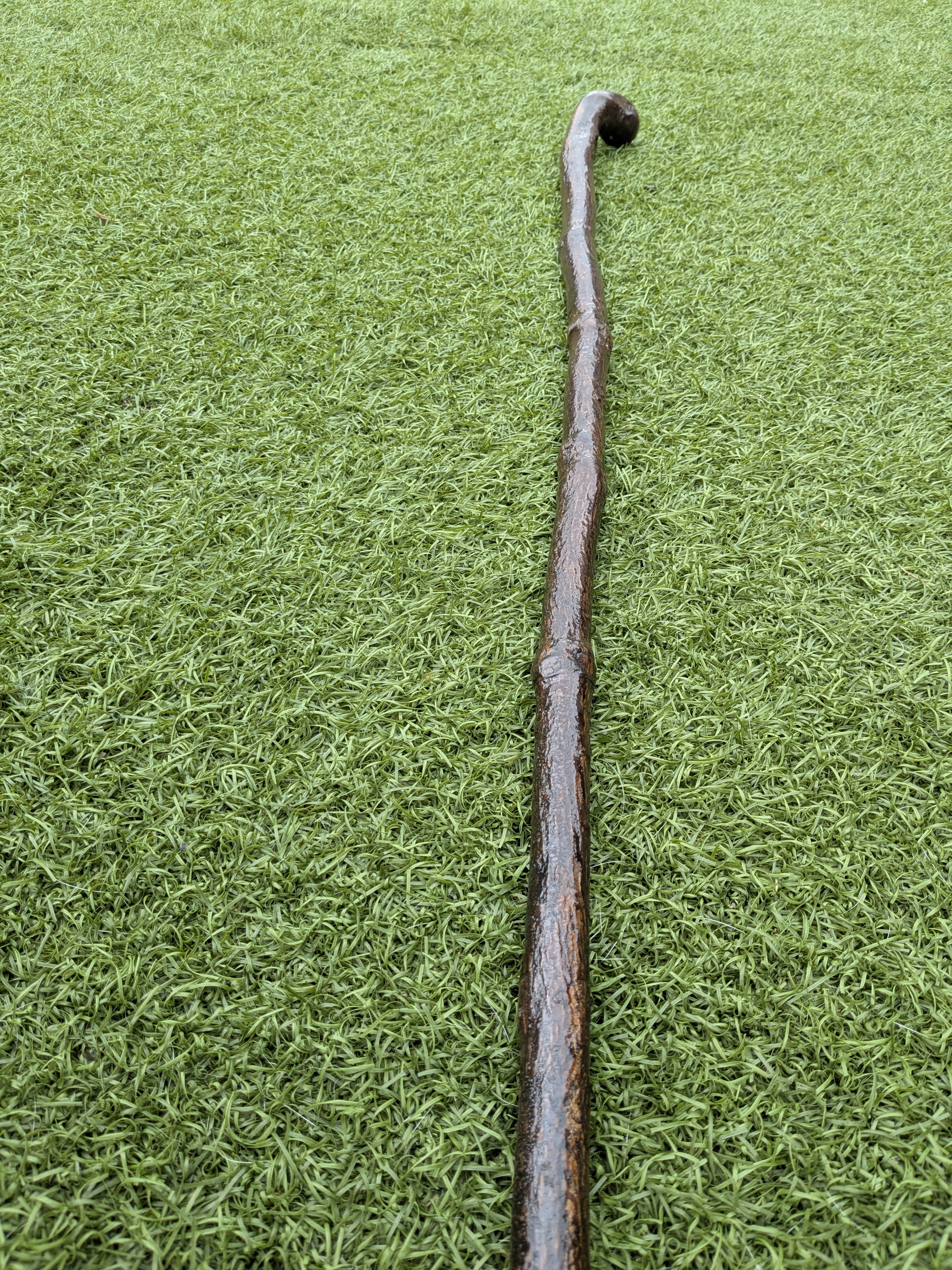 Rustic Holly Shillelagh Walking stick