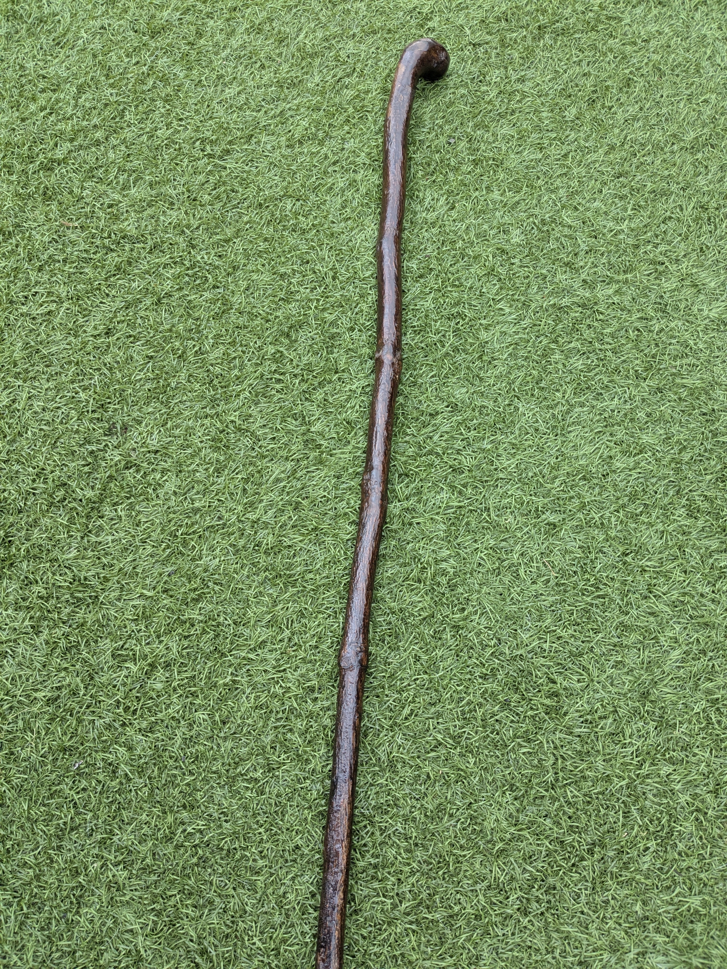 Rustic Holly Shillelagh Walking stick