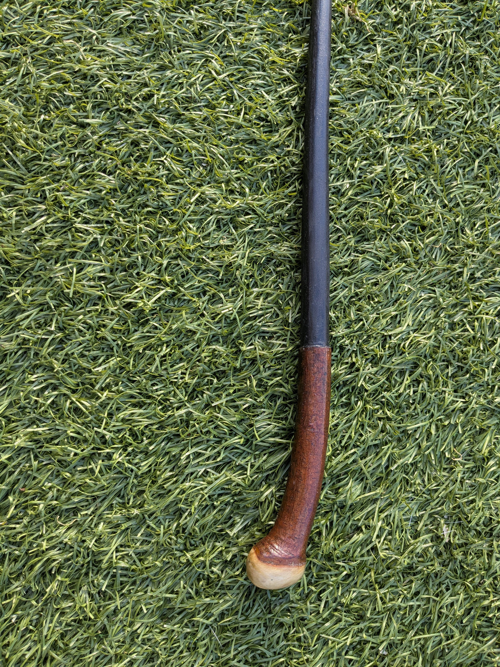 Blackthorn Wand