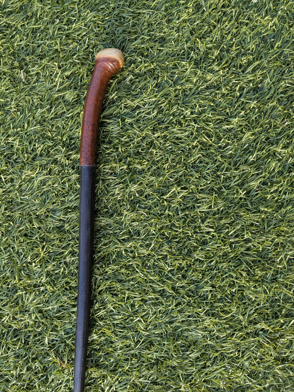 Blackthorn Wand